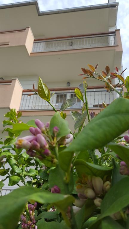 Katija Apartma *